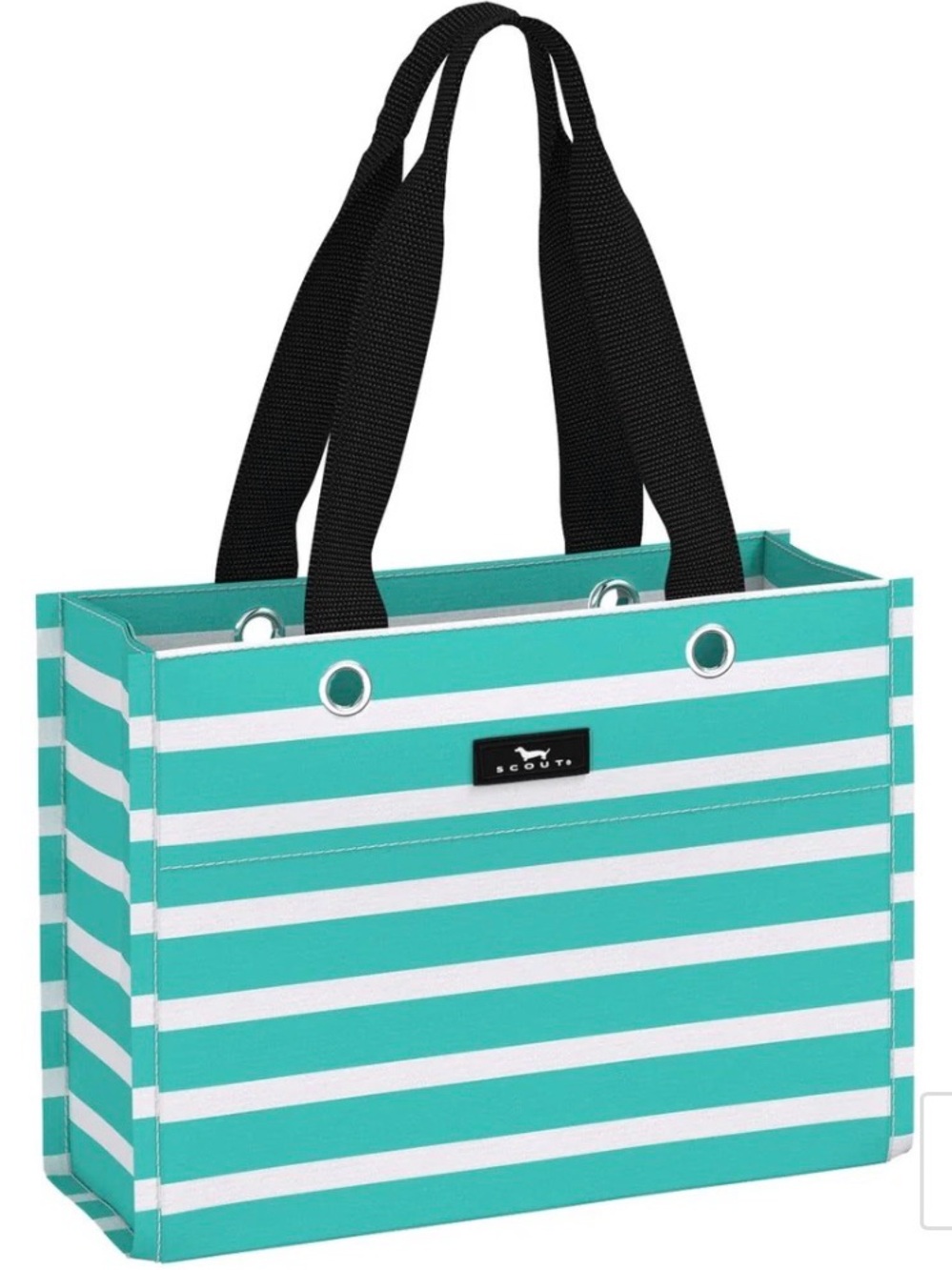 SCOUT Montauk Mint Tiny Package X-Small Gift Bag 11"Wide x 8" Tall x 4" Deep